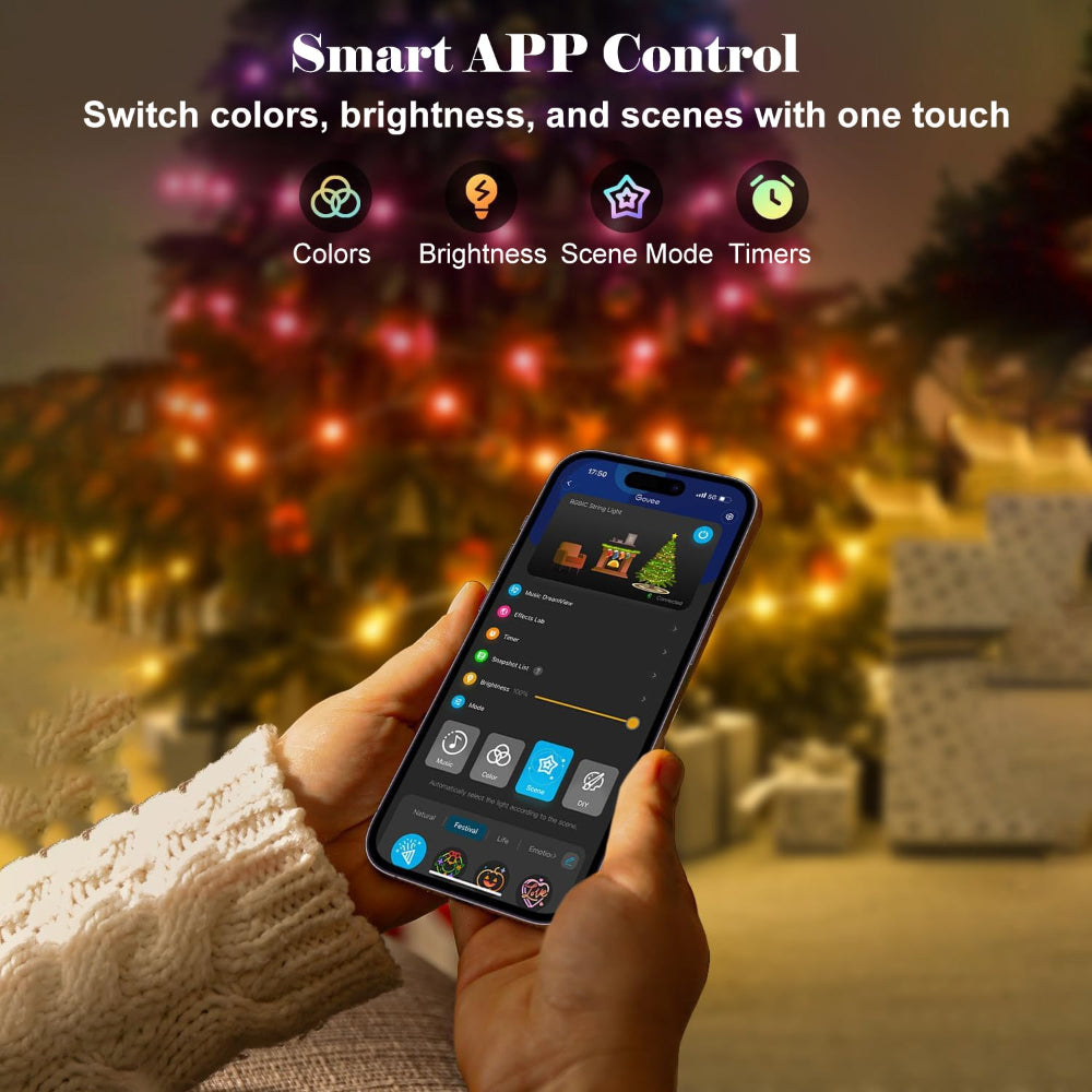 Smart Control LED Outdoor Christmas Lights for Holiday Decoration