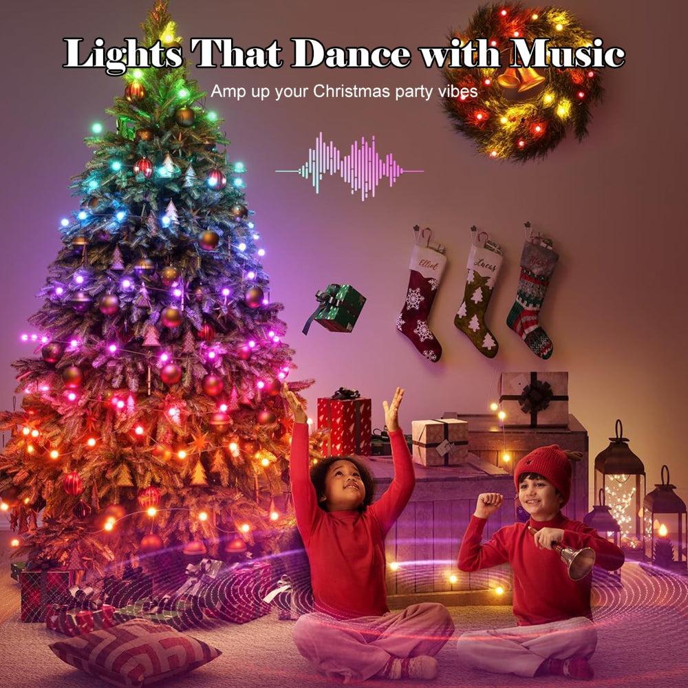 Smart Control LED Outdoor Christmas Lights for Holiday Decoration