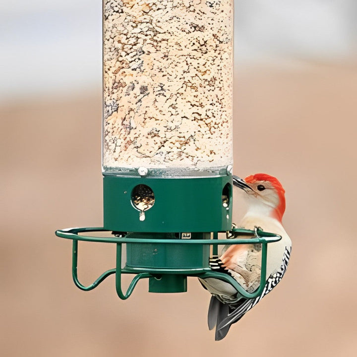 Squirrel Proof Bird Feeder for Outdoor Garden Use