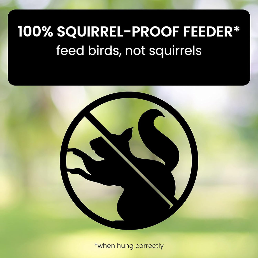 Squirrel Proof Bird Feeder for Outdoor Garden Use