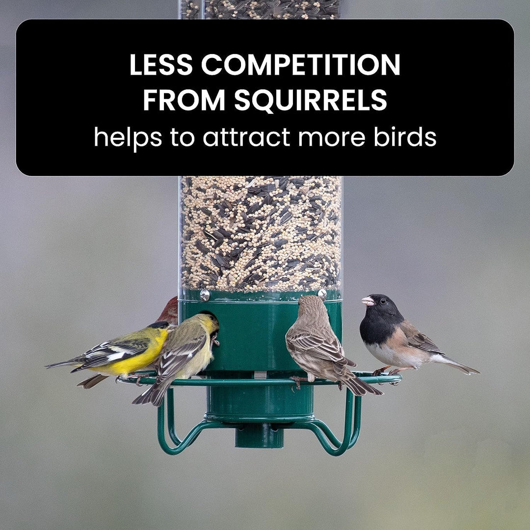 Squirrel Proof Bird Feeder for Outdoor Garden Use