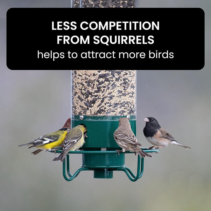 Squirrel Proof Bird Feeder for Outdoor Garden Use