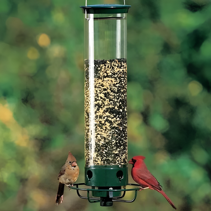 Squirrel Proof Bird Feeder for Outdoor Garden Use