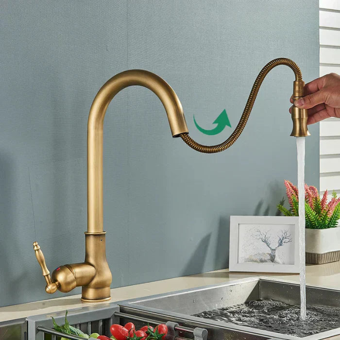 Swivel Spout Kitchen Faucet for Easy Water Access