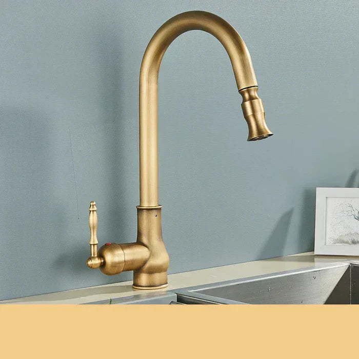 Swivel Spout Kitchen Faucet for Easy Water Access