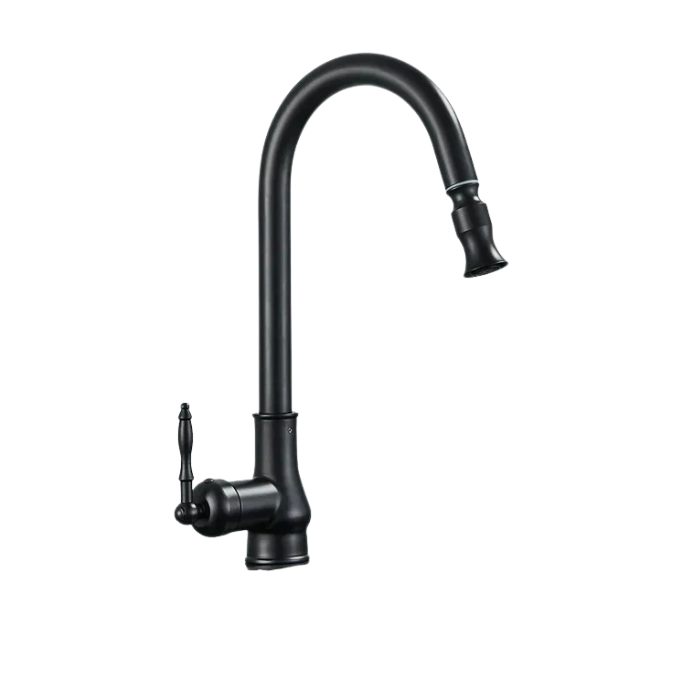 Swivel Spout Kitchen Faucet for Easy Water Access