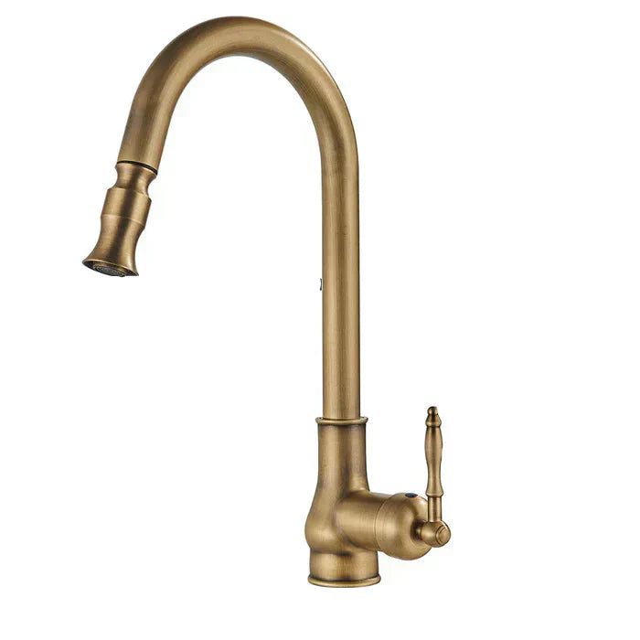Swivel Spout Kitchen Faucet for Easy Water Access