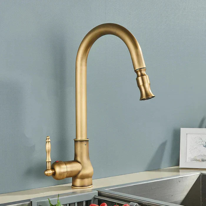 Swivel Spout Kitchen Faucet for Easy Water Access